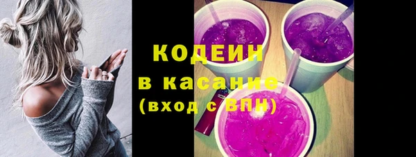 тгк Абаза