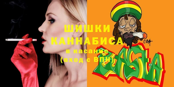 тгк Абаза