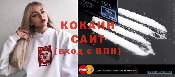 тгк Абаза