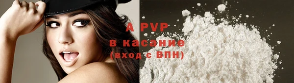прущие крисы Алзамай