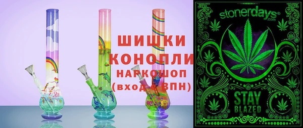 тгк Абаза