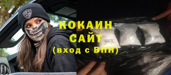 тгк Абаза