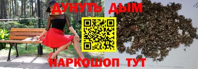 сатива Моздок