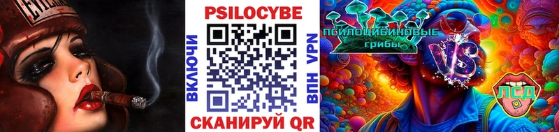 Псилоцибиновые грибы мухоморы купить наркоту Зеленодольск