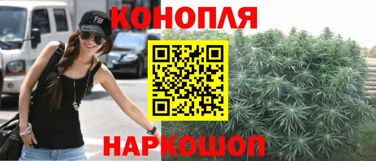 Марихуана сатива  МАРИХУАНА OG Kush  Зеленодольск  Шишки марихуана тримм  Вход с VPN  Конопля план 